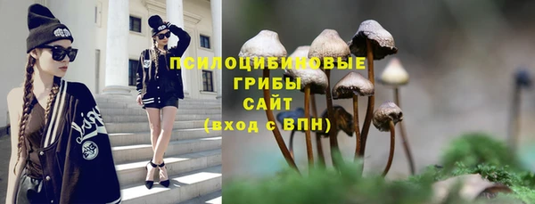 молекула духа Беломорск