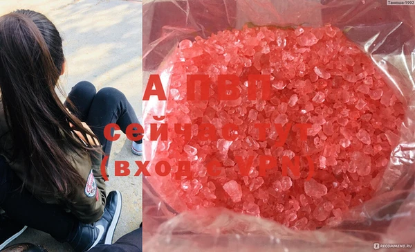 прущие крисы Белоозёрский