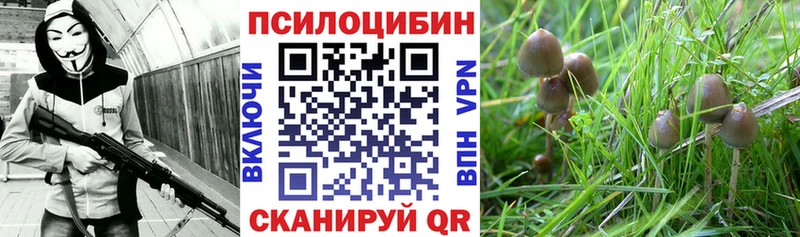 кракен маркетплейс  Будённовск  Галлюциногенные грибы GOLDEN TEACHER 