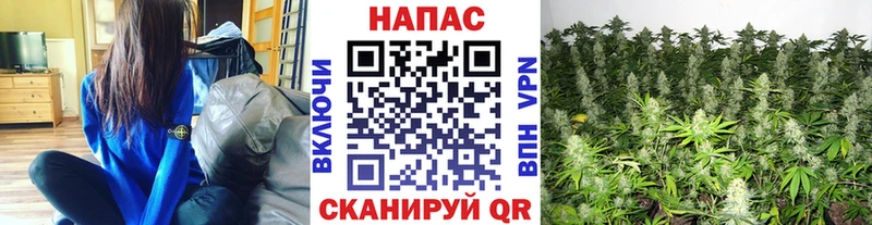 Марихуана White Widow  Будённовск 